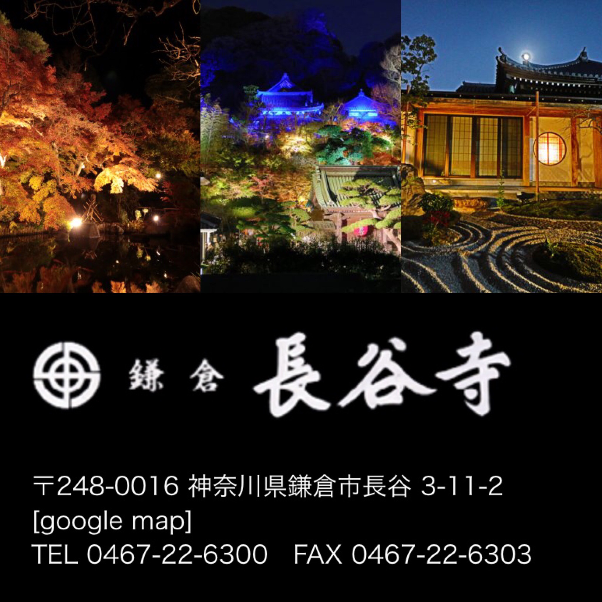 長谷寺ライトアップ