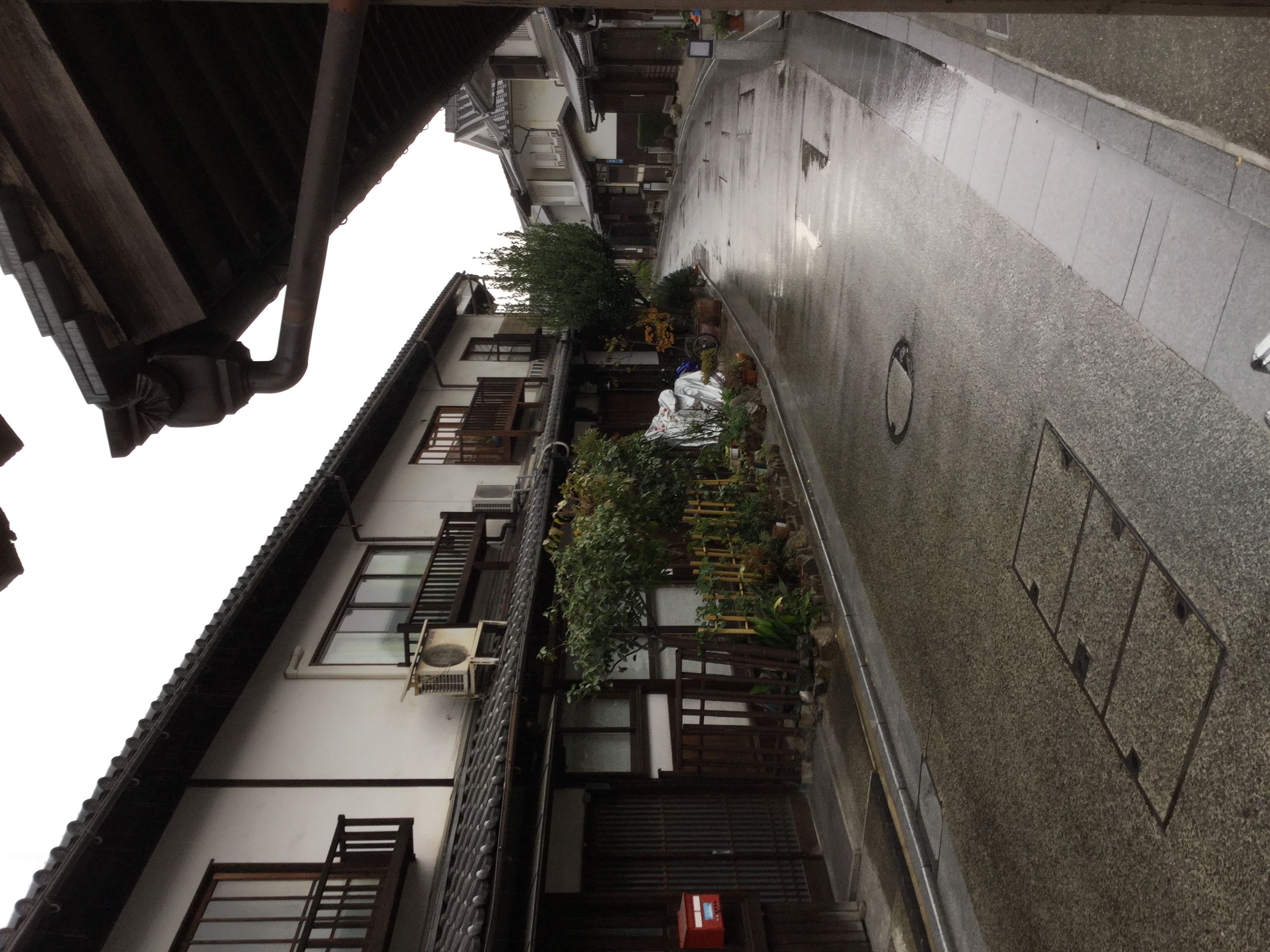 朝から冷たい雨です。