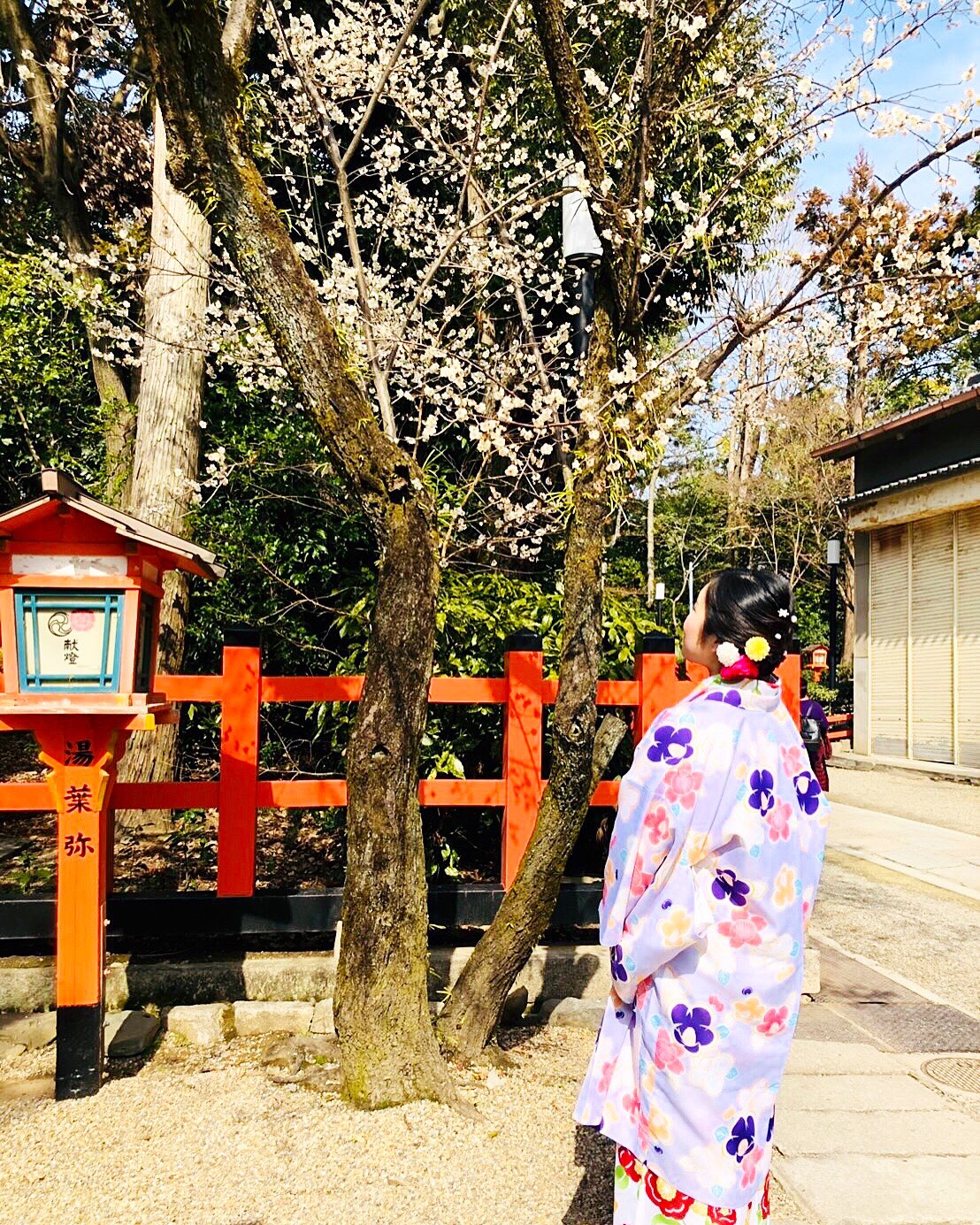 春休み、着物でお出かけしませんか？