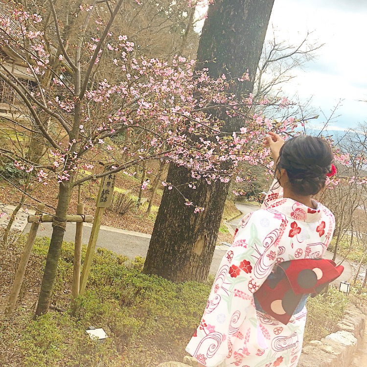 お花見♪