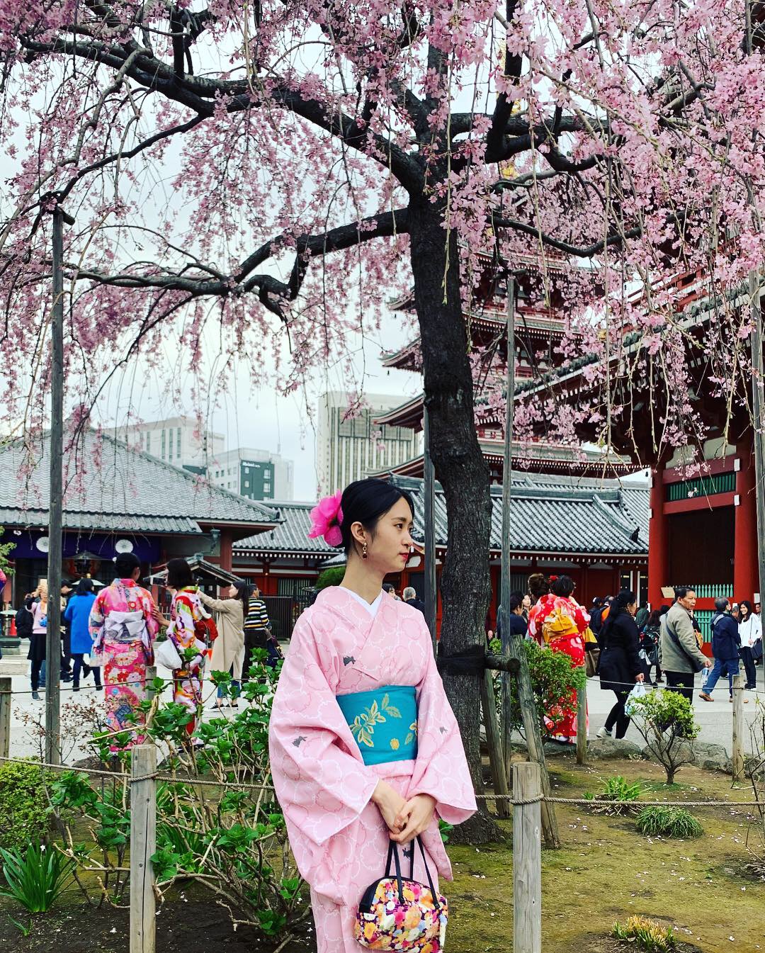 お着物でのお花見