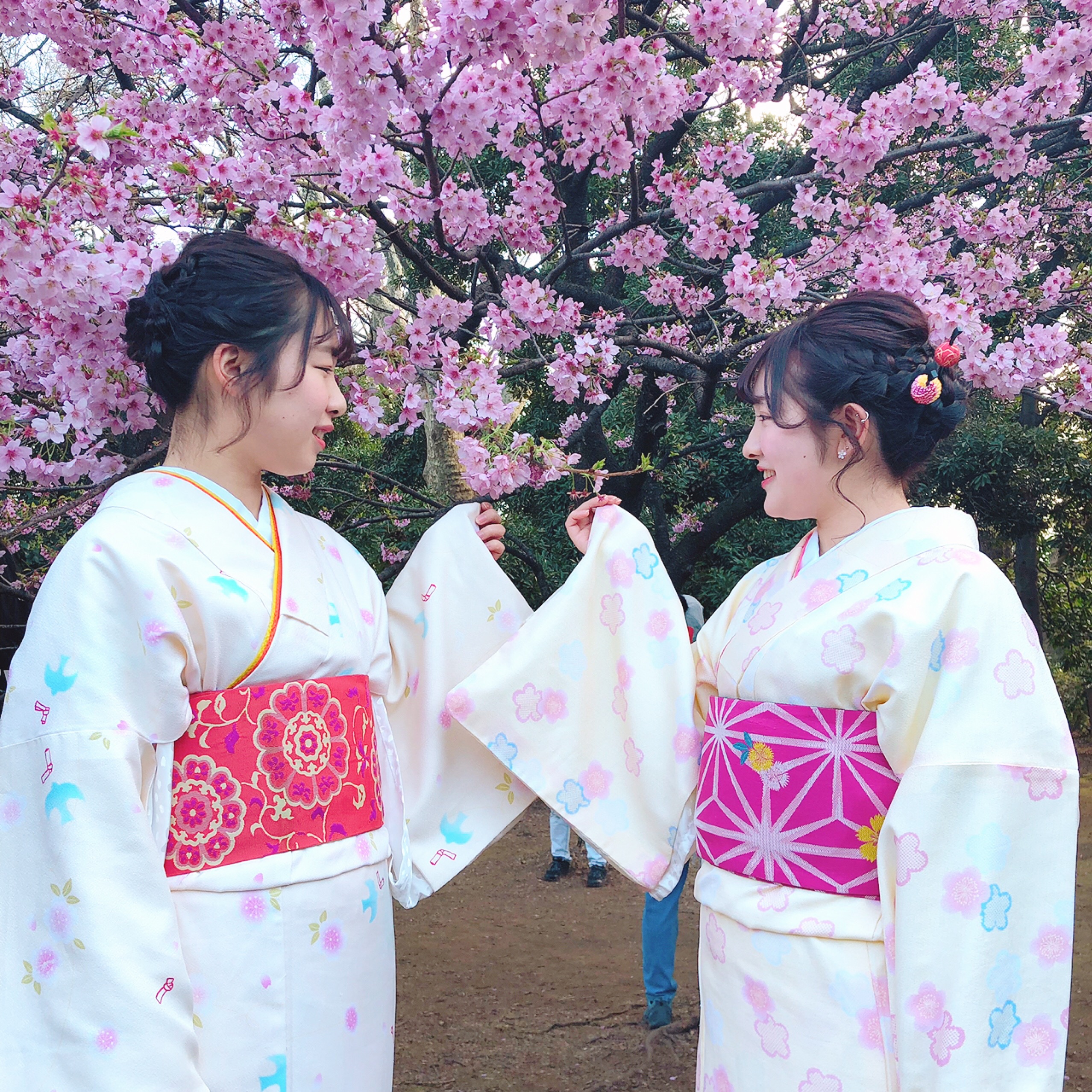 お花見