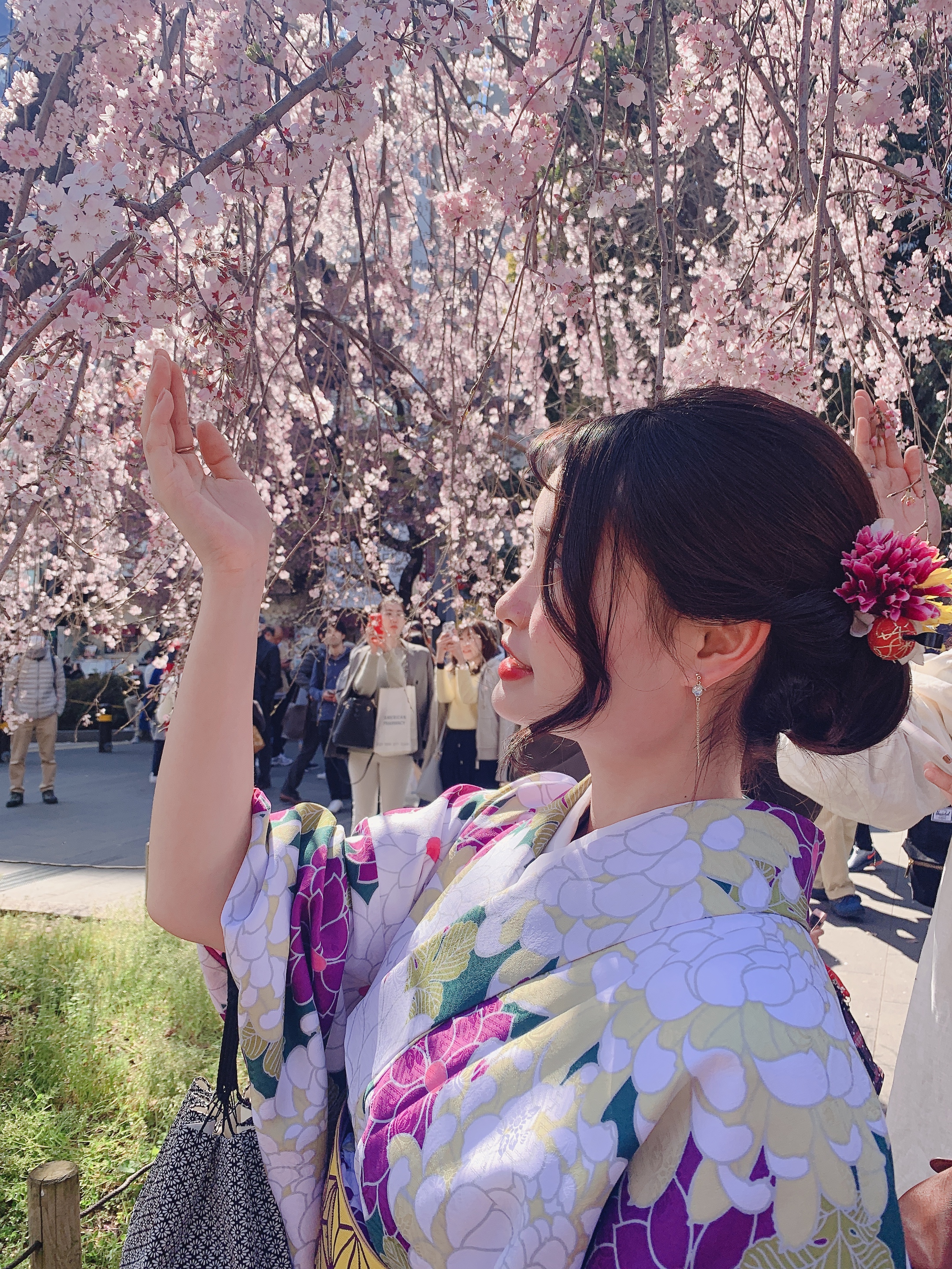 桜が綺麗ですよ！