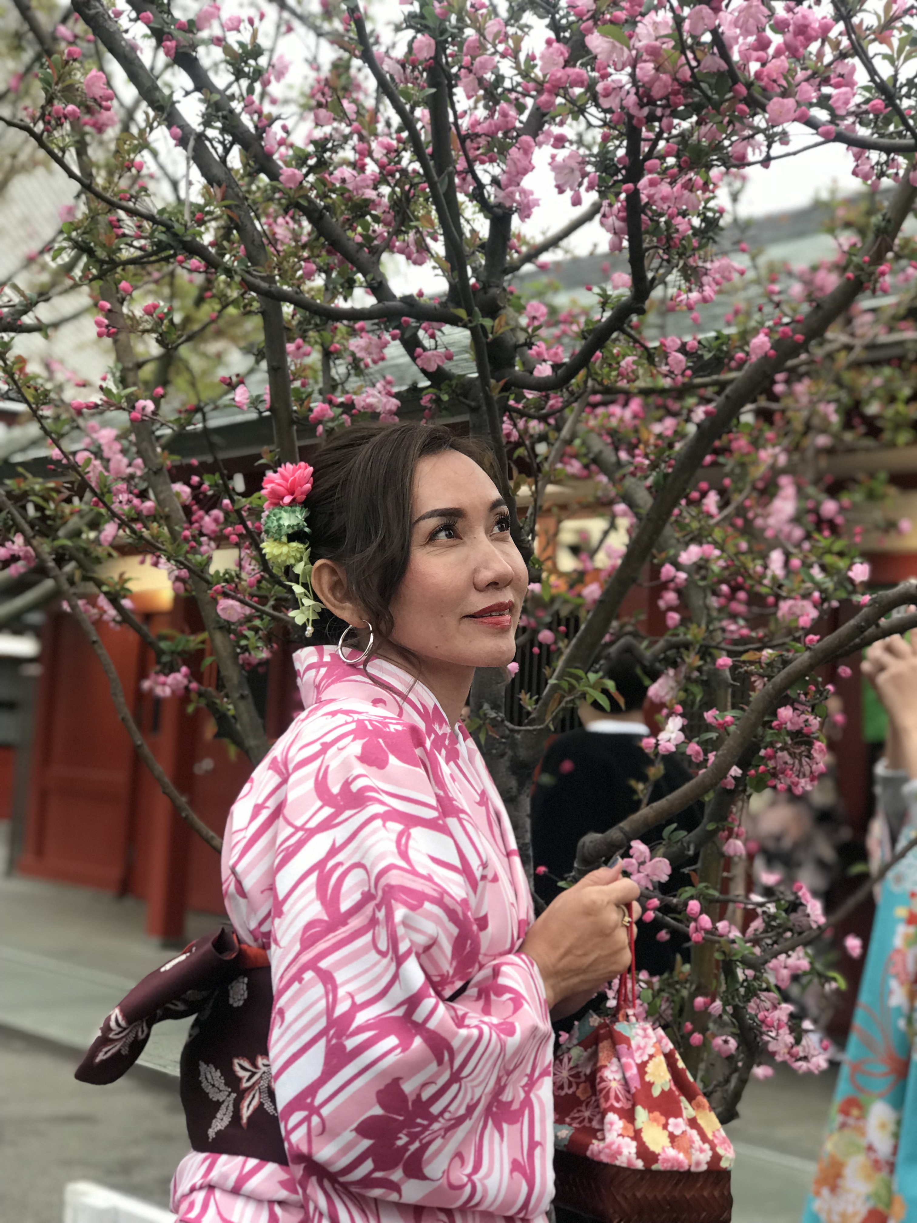 桜と想い出の撮影を！
