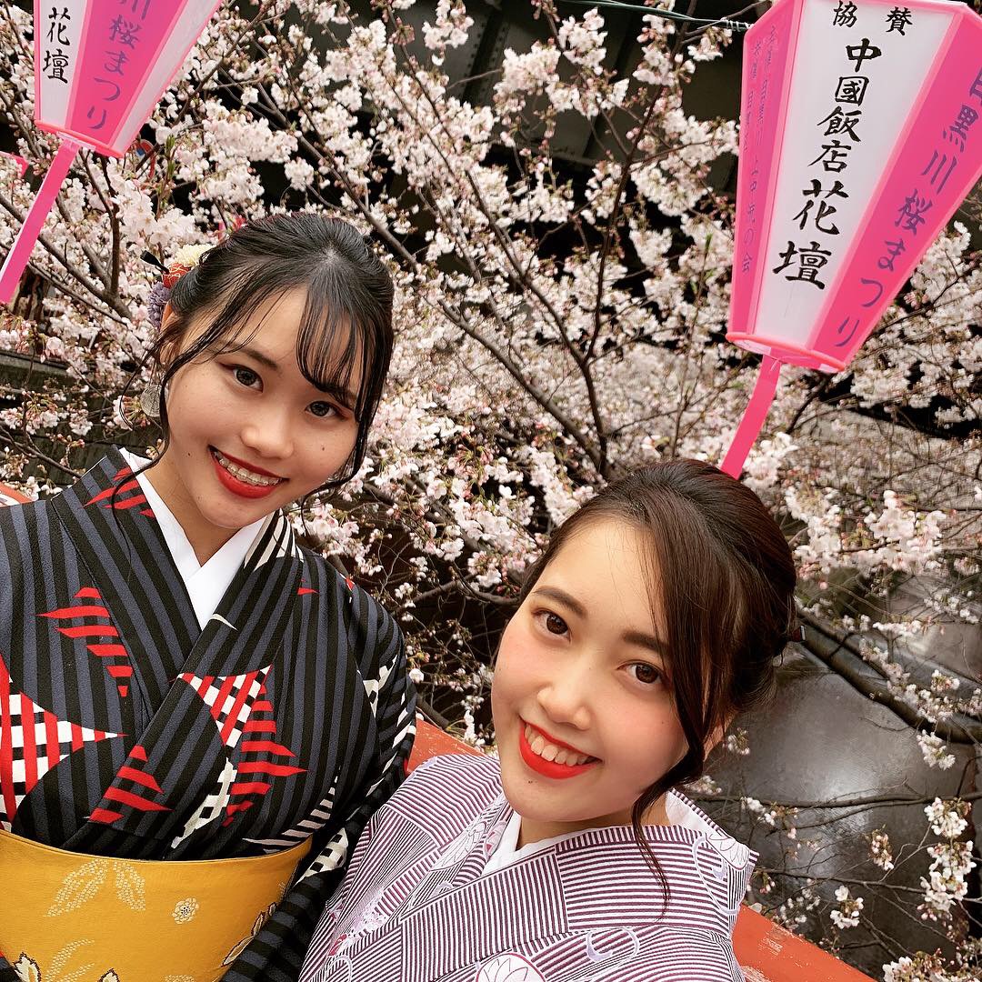 桜まつりへ