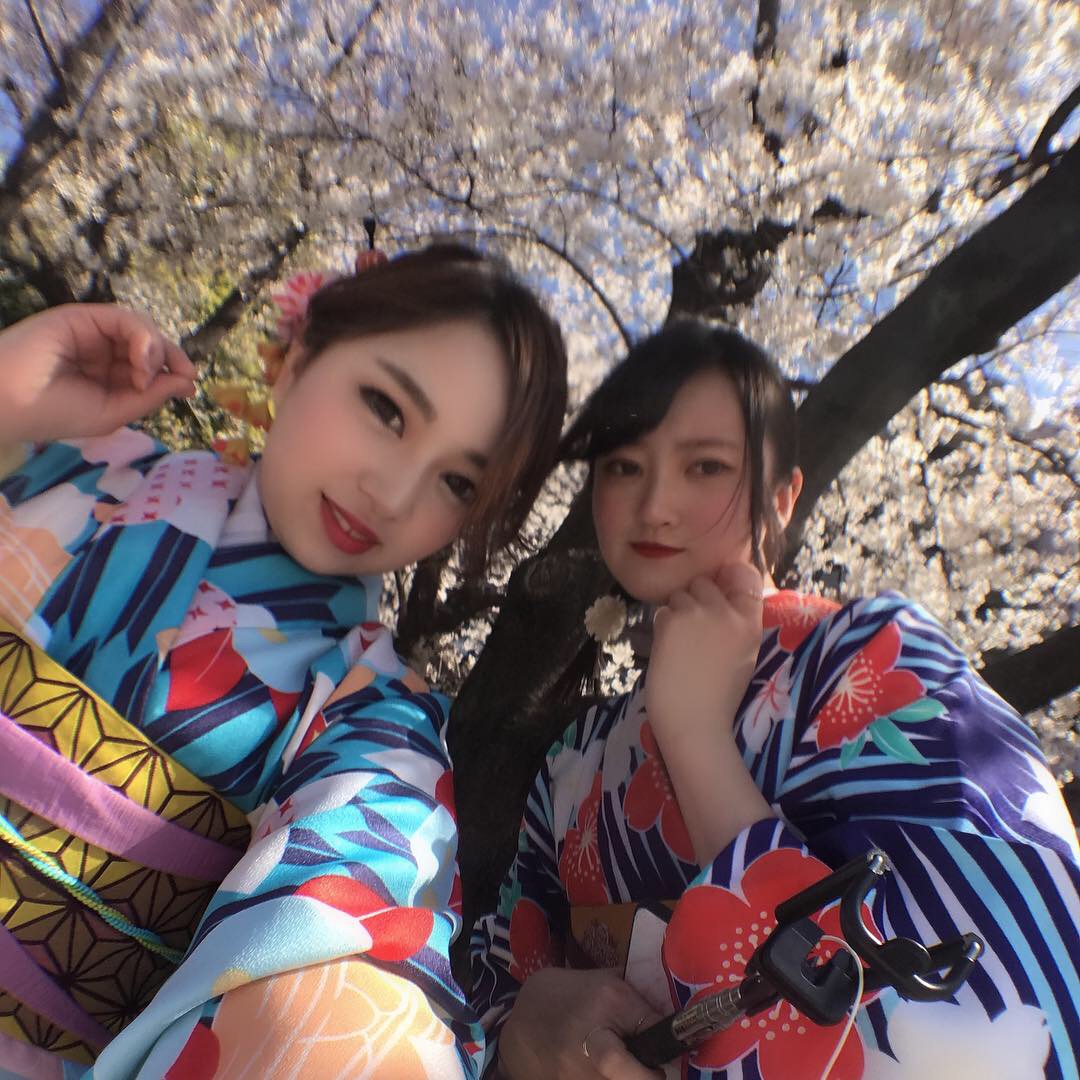 隅田川桜まつりへ行きませんか？