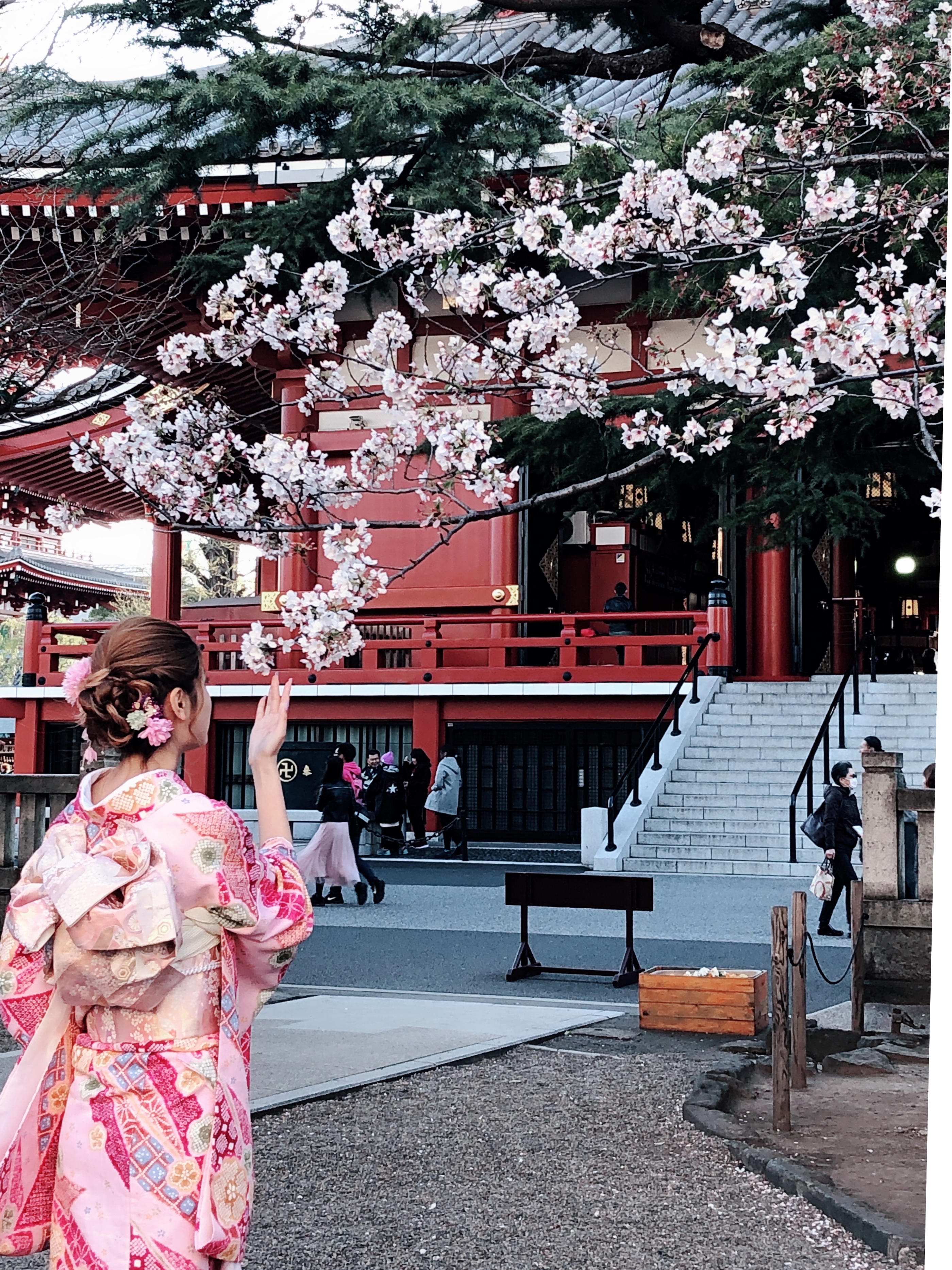 桜もあと少し！