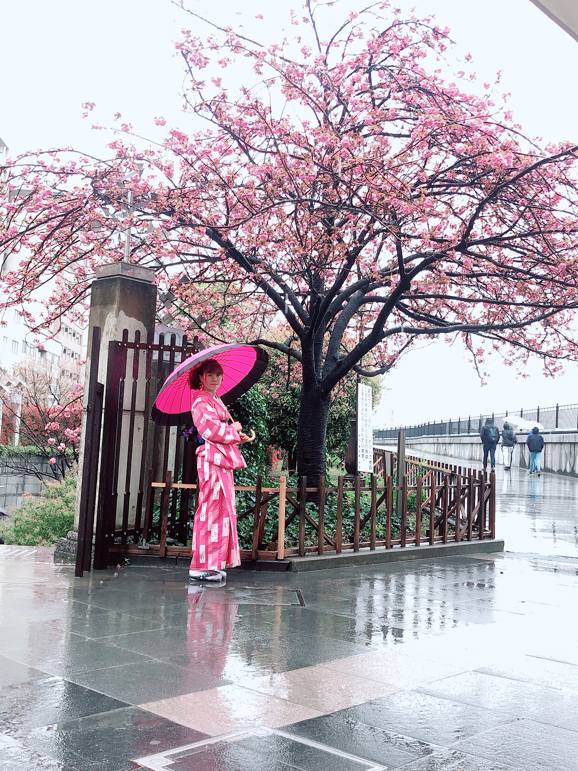 ☆SAKURA☆☆