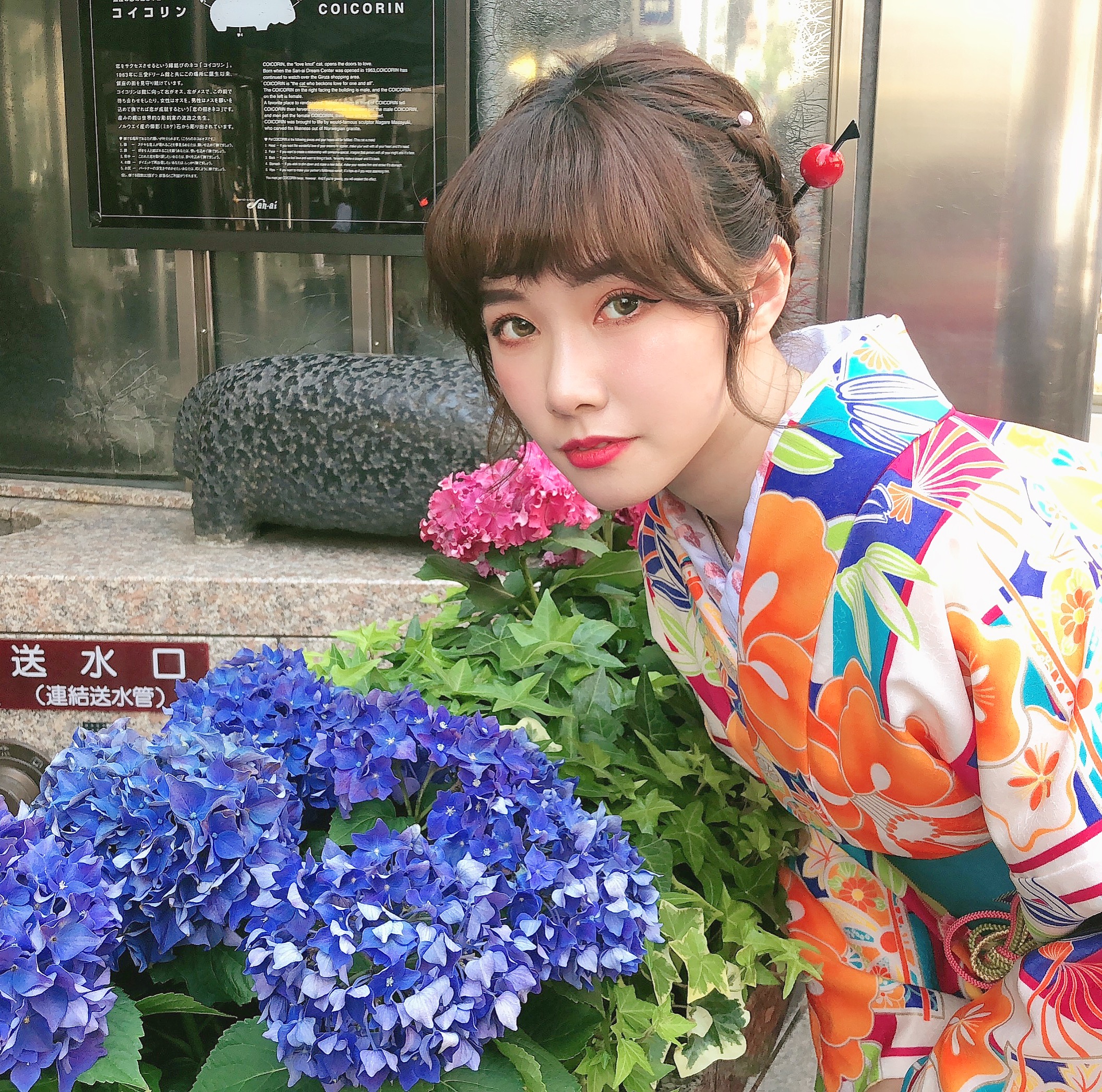 紫陽花と♪