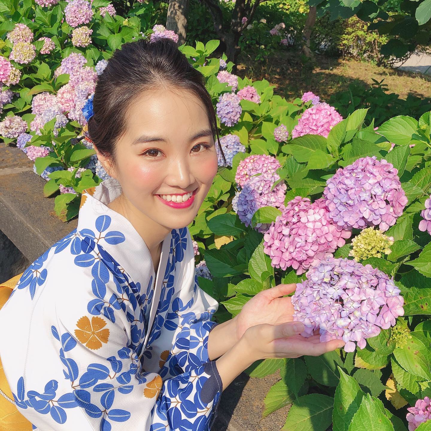 紫陽花の季節真っ最中です♪