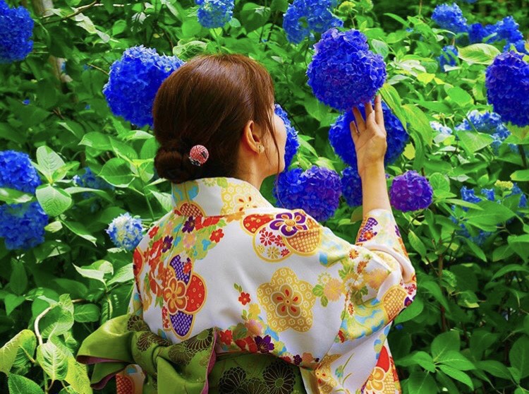 あじさいがキレイな内に着物でお出掛け♡｜着物レンタルVASARA渋谷店