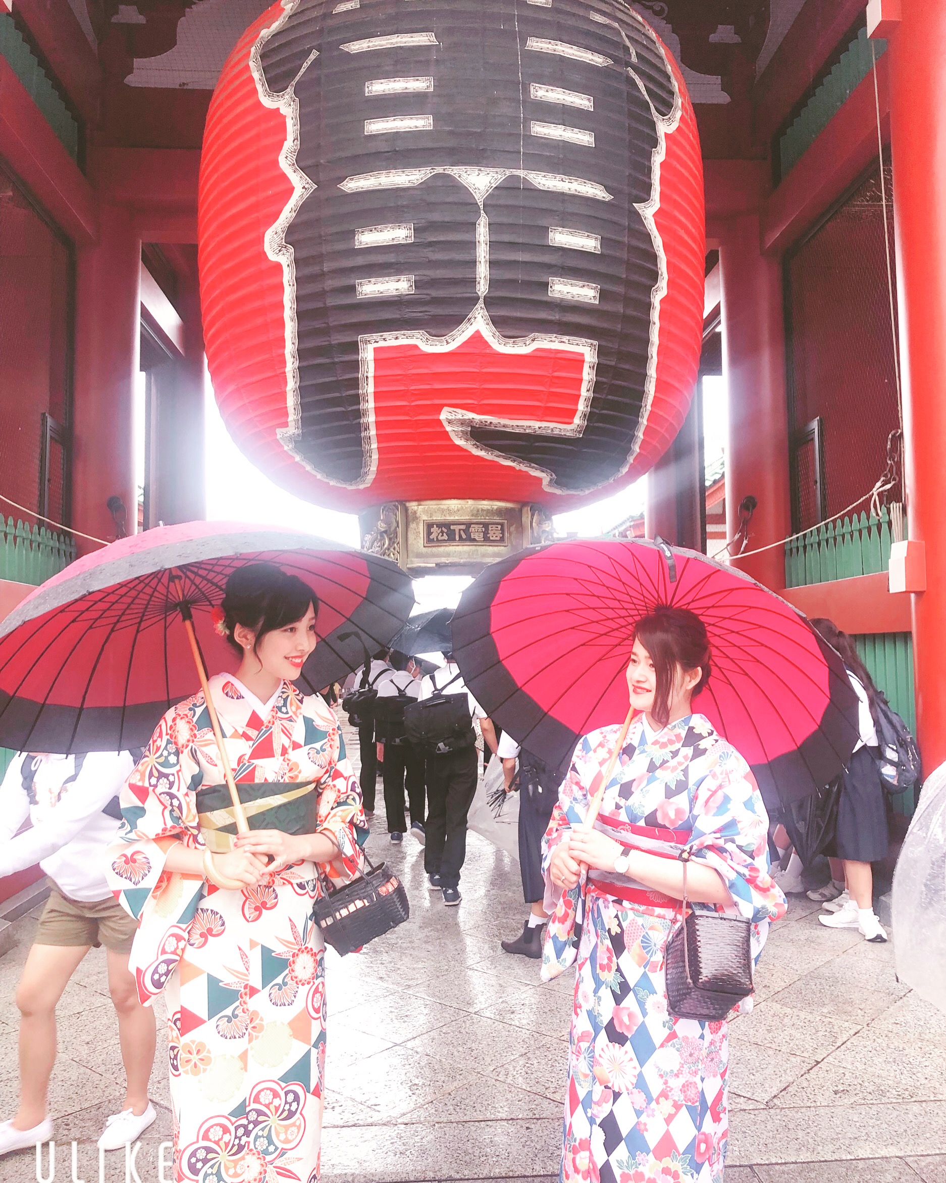 雨の日こそ艶のある姿！