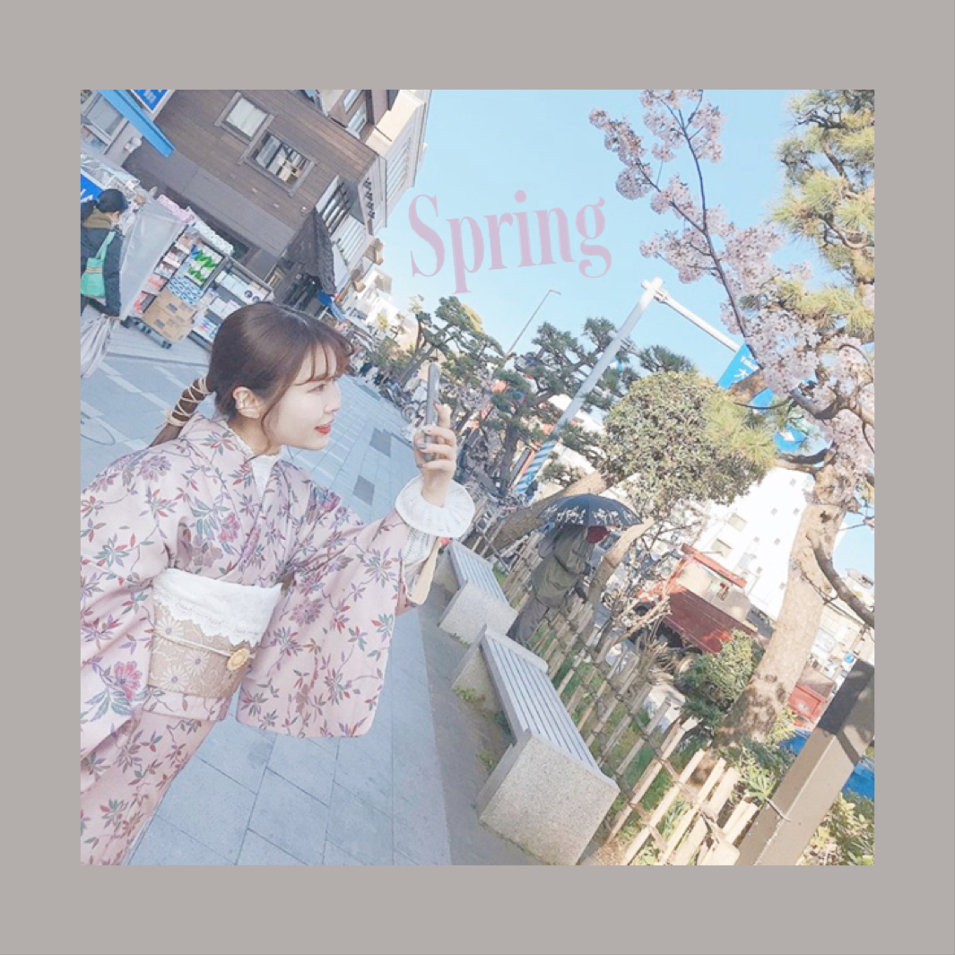 Spring code ♩.｡
