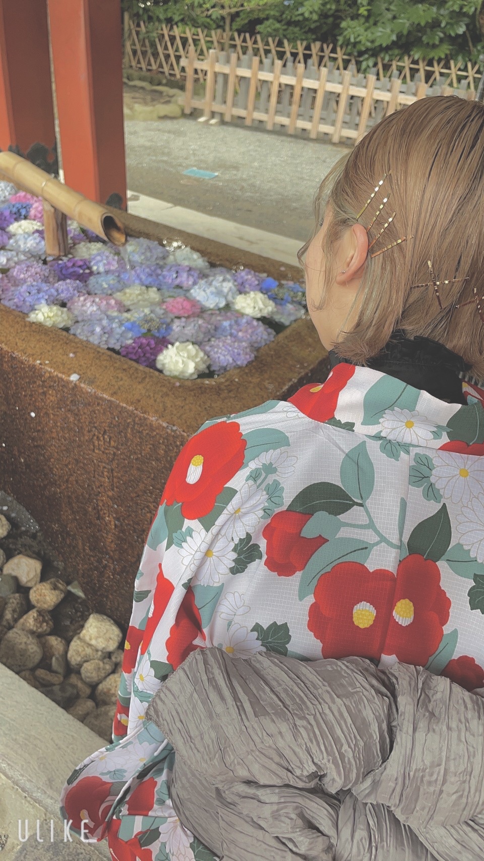 鎌倉小町通り店です(୨୧ ❛ᴗ❛)✧
