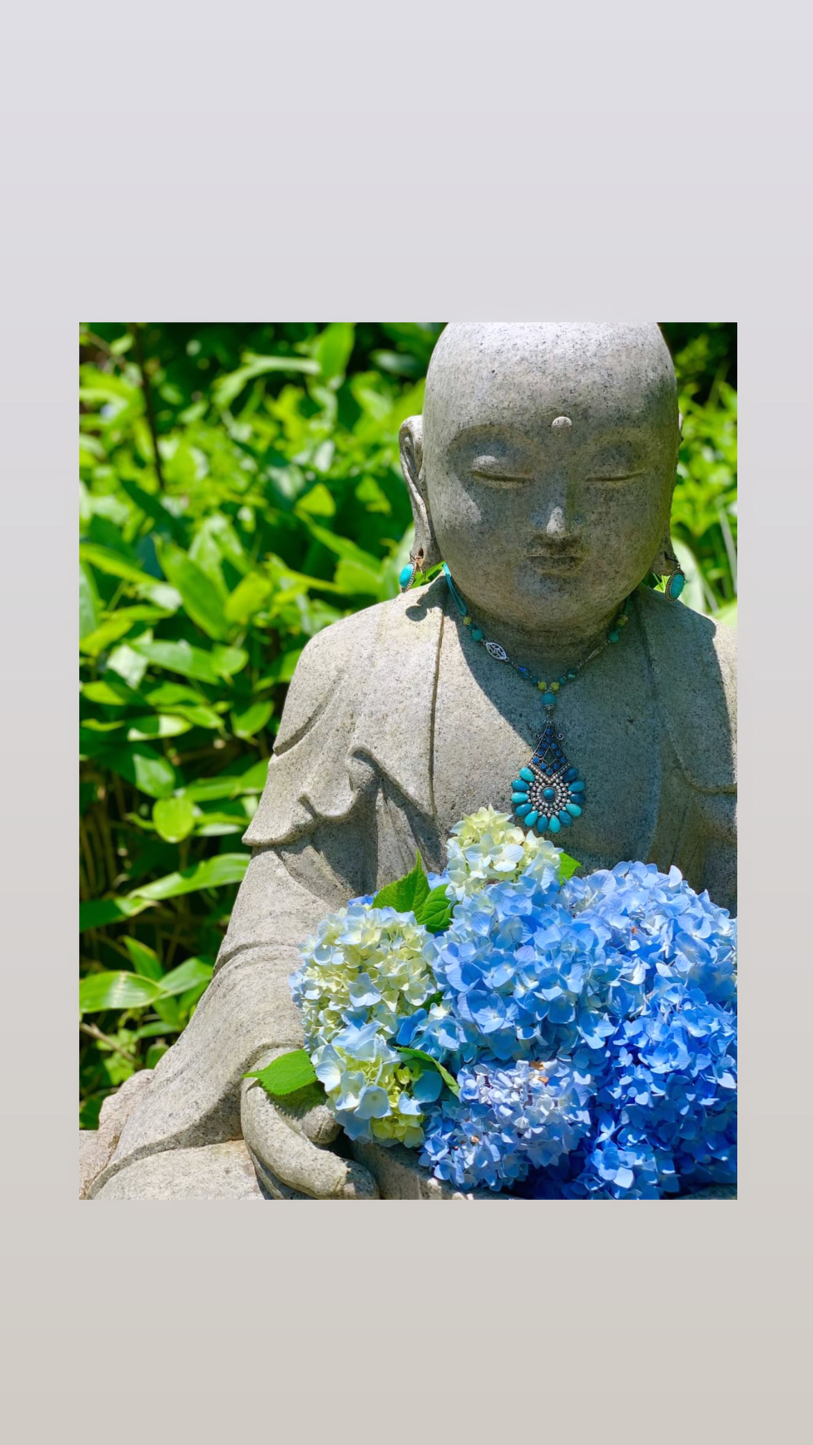 明月院～紫陽花開花情報～