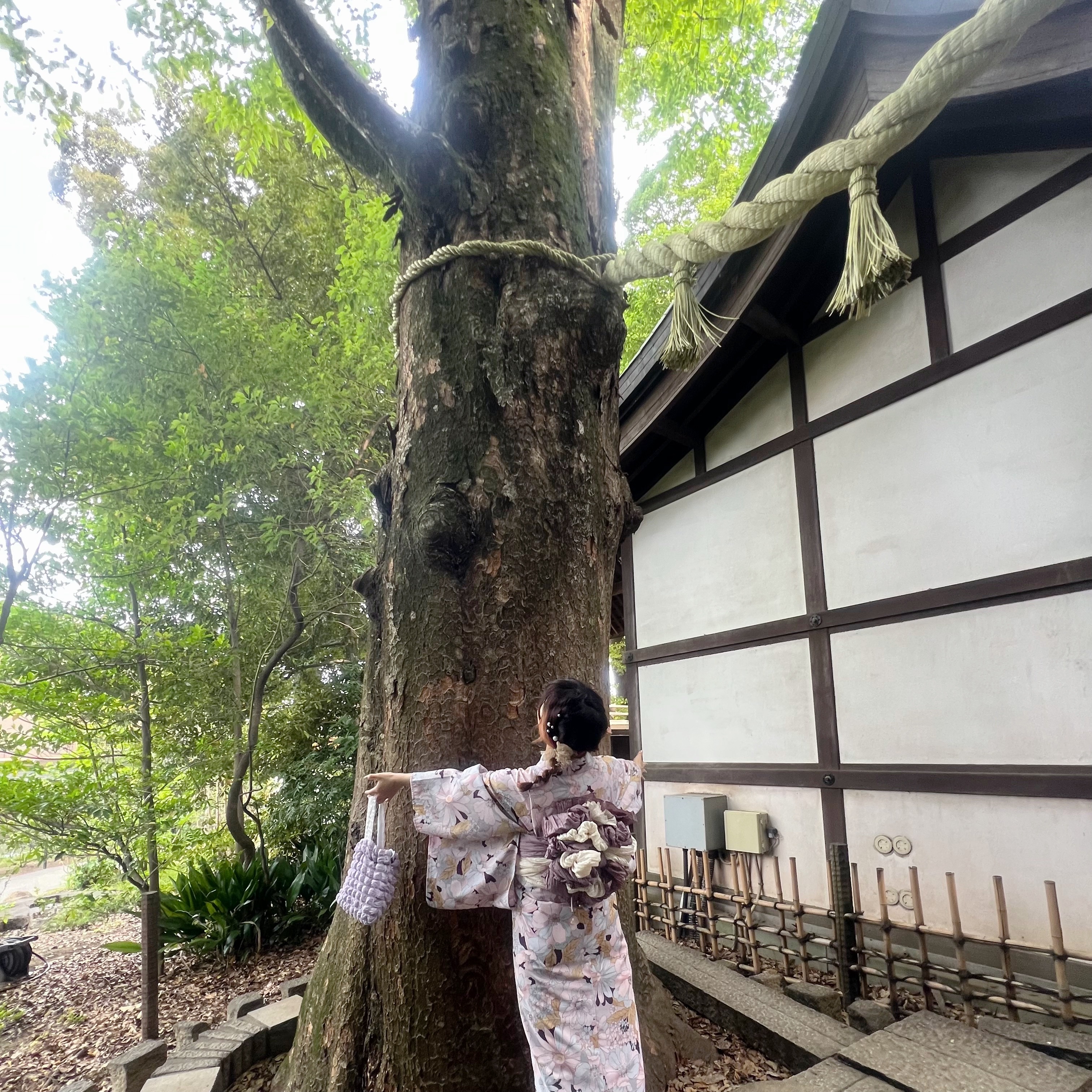 川越氷川神社おすすめです❁⃘*.ﾟ