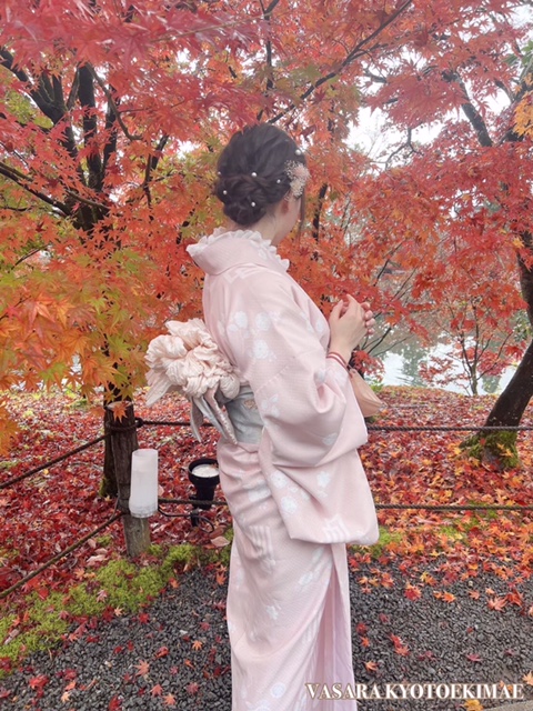 紅葉まつり 梅小路公園　11/10～11/26