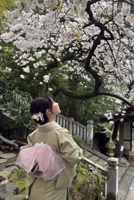 横浜みなとみらい 横浜でお花見