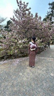 金沢兼六園店♡桜の花びらの元での散策