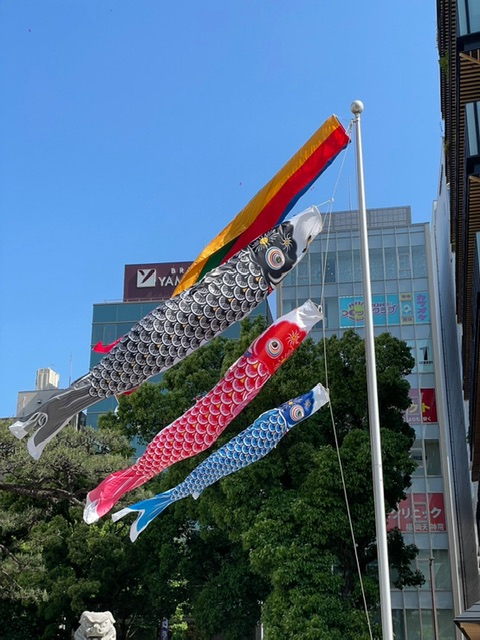 福岡着物レンタル／こどもの日