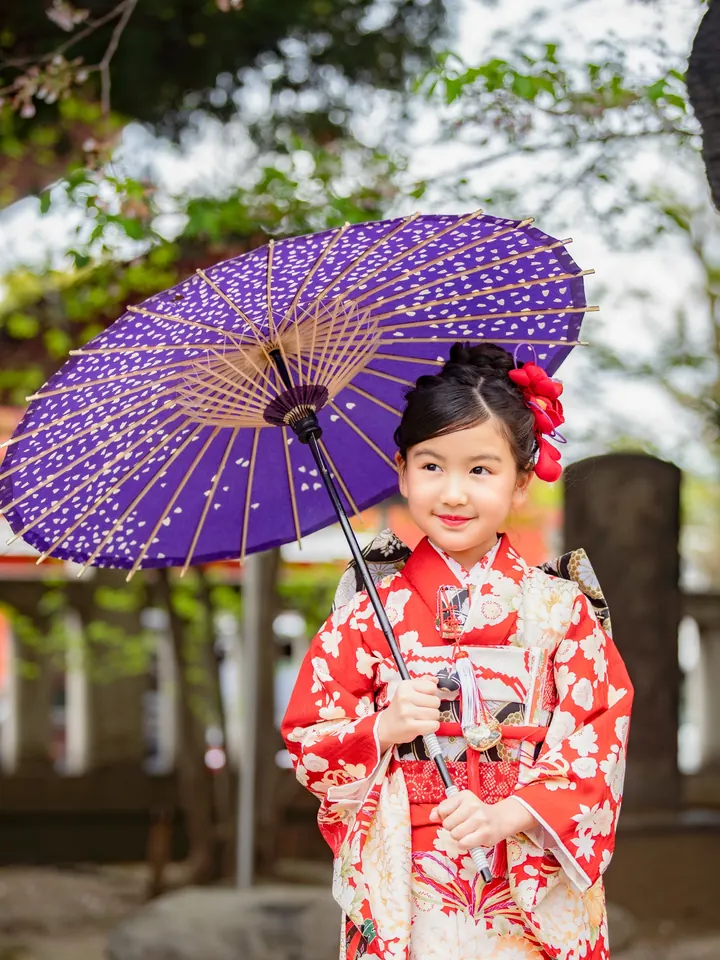 穿著紫色和傘的7歲女孩的753和服